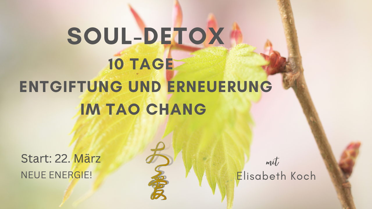 SOUL-Detox - Reset für dich und deinen Körper